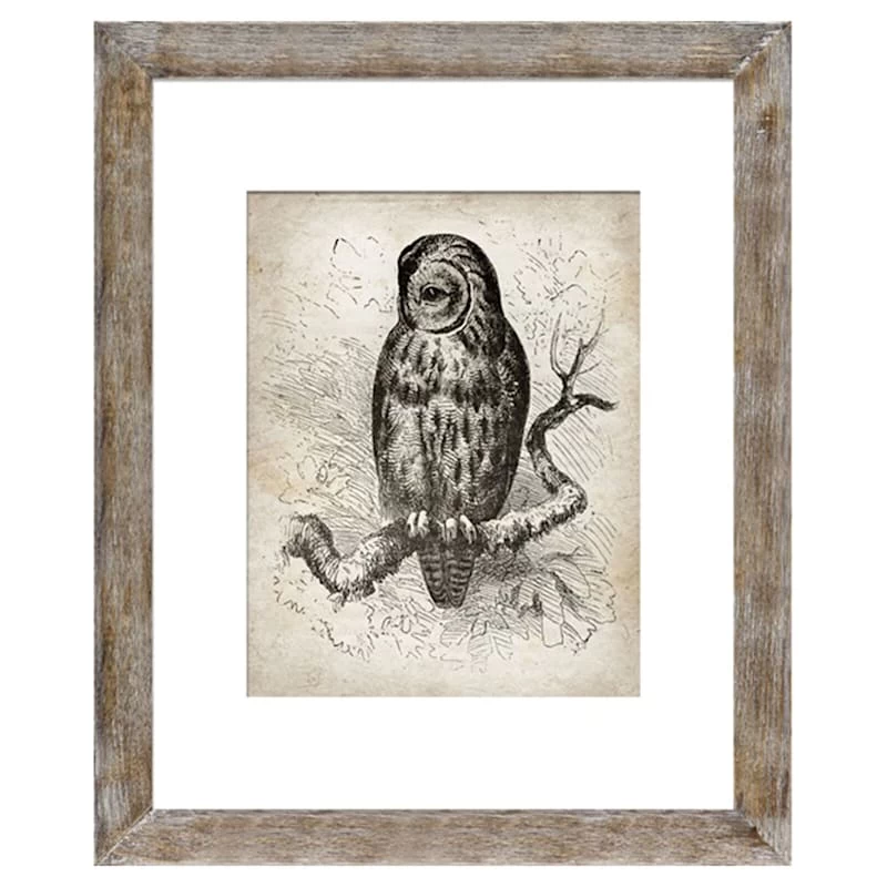 16x20 Matted To 11x14 Wall Frame, Listoni Brown 3 16x20 Matted To 11x14 Wall Frame, Listoni Brown