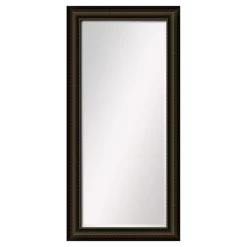 2-Tone Bronze Mirror, 24x58