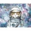 Cat In Space Canvas Wall Art, 12x16 -Home Decor Shop cat in space canvas wall art 12x16 1