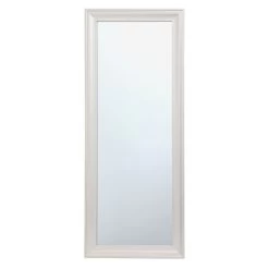 Champagne Barb Framed Wall Mirror, 24x58