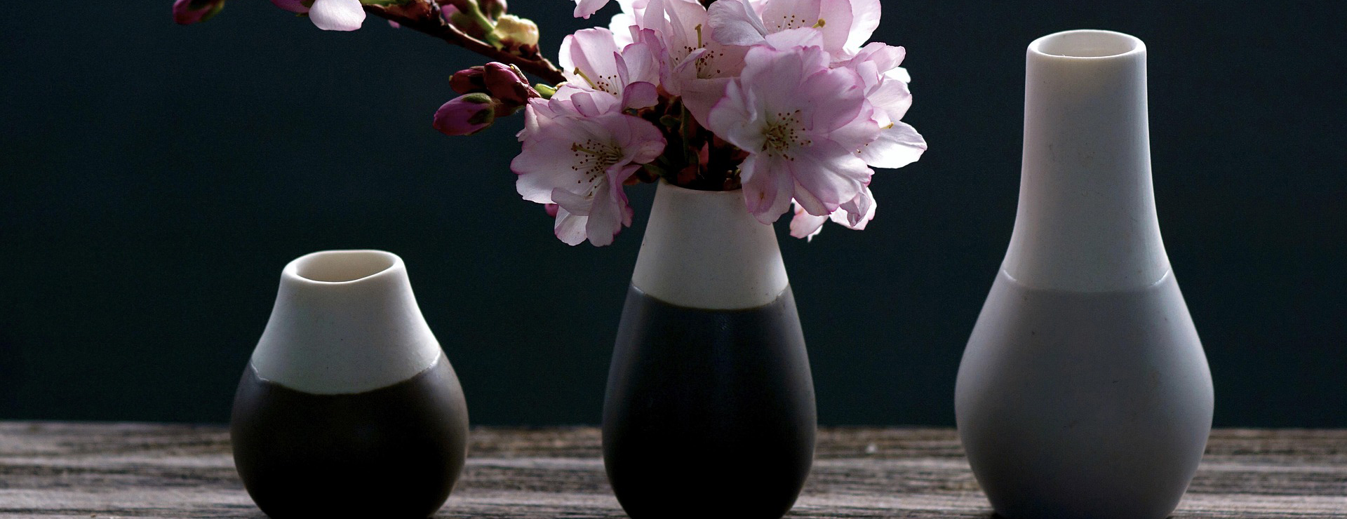 Home Decor Shop -Home Decor Shop cherry blossoms 4069596 1920