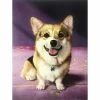 Corgi Canvas Wall Art, 12x16 -Home Decor Shop corgi canvas wall art 12x16 1