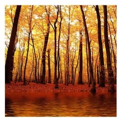 Forest Canvas Wall Art, 40"