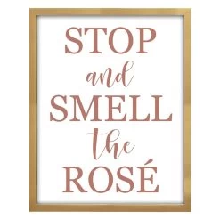 Framed Glass Stop Smell The Rose Wall Art, 16x20