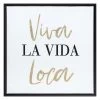 Framed Viva La Vida Loca Canvas Wall Art, 12" 2 Framed Viva La Vida Loca Canvas Wall Art, 12" -Home Decor Shop framed viva la vida loca canvas wall art 12