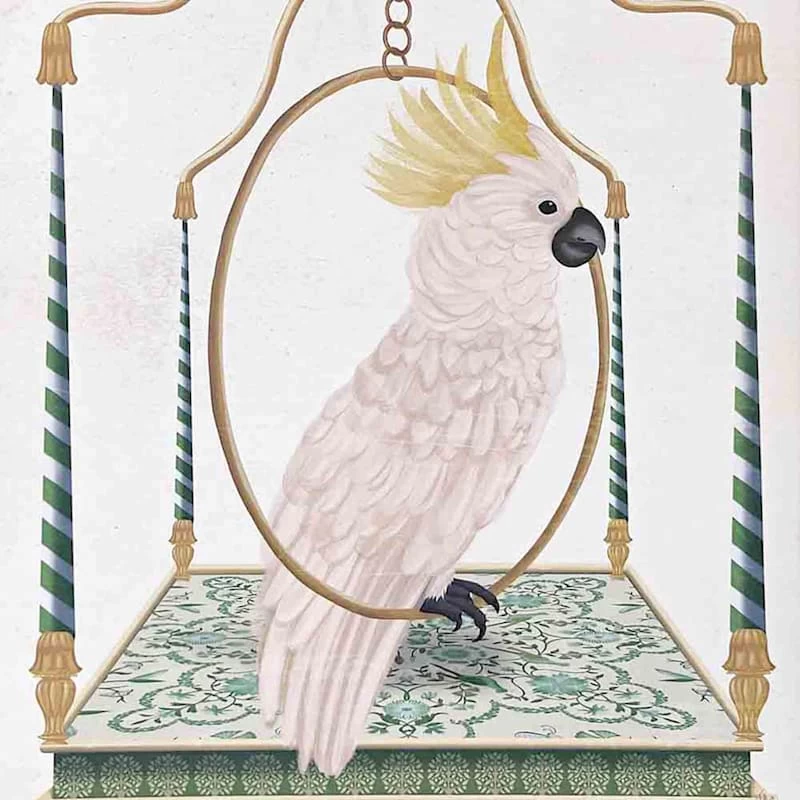 Glass Framed Cockatoo Print Wall Art, 13x17 4 Glass Framed Cockatoo Print Wall Art, 13x17 - Image 2