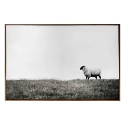 Honeybloom Framed Sheep Canvas Wall Art, 36x24