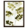 Honeybloom Glass Framed Natural & Green Stone Leaves Botanical Wall Art, 16x20 -Home Decor Shop honeybloom glass framed natural green stone leaves botanical wall art 16x20 1