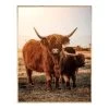 Ty Pennington Framed Calf Highland Cow Canvas Wall Art, 24x30 1 Ty Pennington Framed Calf Highland Cow Canvas Wall Art, 24x30 -Home Decor Shop ty pennington framed calf highland cow canvas wall art 24x30 1