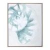 Ty Pennington Framed Seashell Canvas Wall Art, 16x20 -Home Decor Shop ty pennington framed seashell canvas wall art 16x20 1