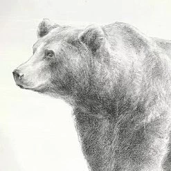 Ty Pennington Glass Framed Bear Wall Art, 26" 7 Ty Pennington Glass Framed Bear Wall Art, 26" -Home Decor Shop ty pennington glass framed bear wall art 26 2