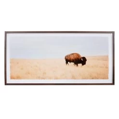 Ty Pennington Glass Framed Buffalo Print Wall Art, 19x39