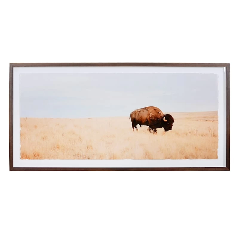 Ty Pennington Glass Framed Buffalo Print Wall Art, 19x39 3 Ty Pennington Glass Framed Buffalo Print Wall Art, 19x39