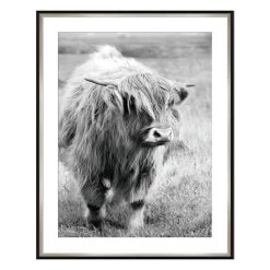 Ty Pennington Glass Framed Highland Print Wall Art, 23x29