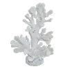 Ty Pennington White Coral Figurine, 9.5" -Home Decor Shop ty pennington white coral figurine 9.5